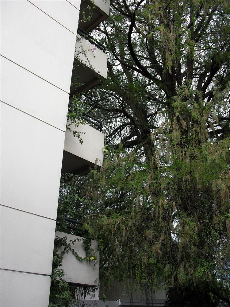 Hotel Residencia Del Sol グアテマラシティ エクステリア 写真
